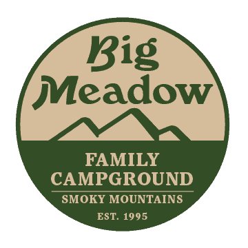 Big Meadow Logo