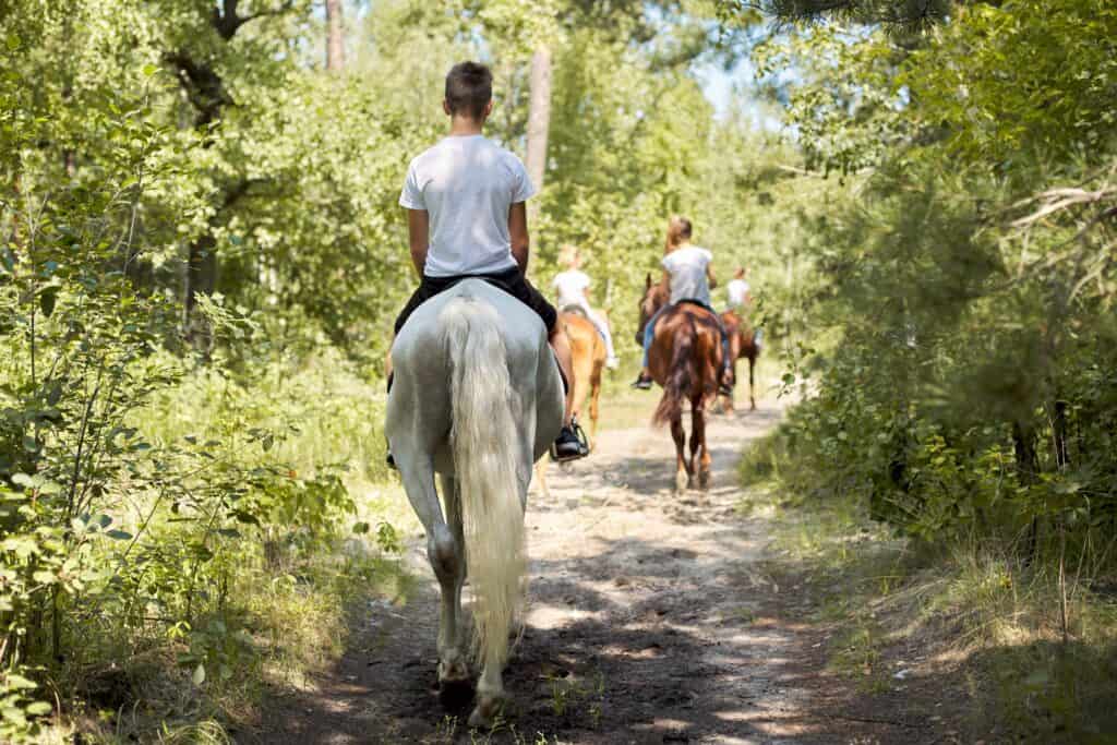 A group of people riding horses in a wooded area.