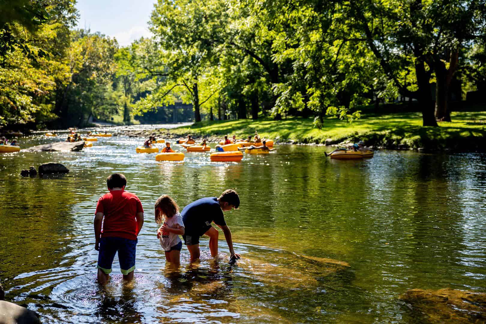 A group of people standing in a river at Big Meadows Campground.
