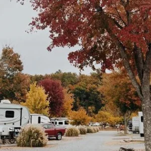 Big Meadow Family Campground in the fall with trees in the background.