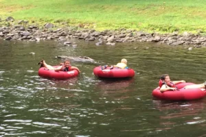 A group of people riding in tubes on a river.