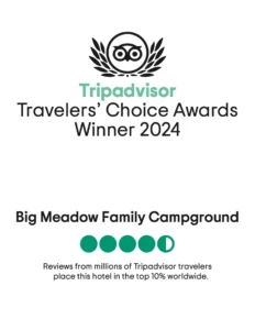 Award emblem from TripAdvisor for the Travelers' Choice Awards, indicating that Big Meadows Campground is in the top 10% worldwide according to reviews.