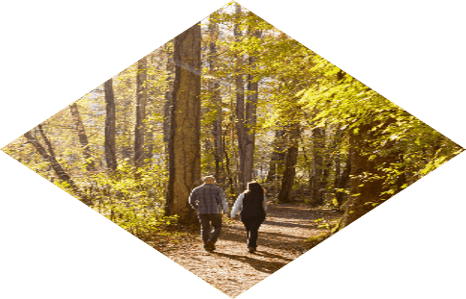 a man and woman walking through a forest